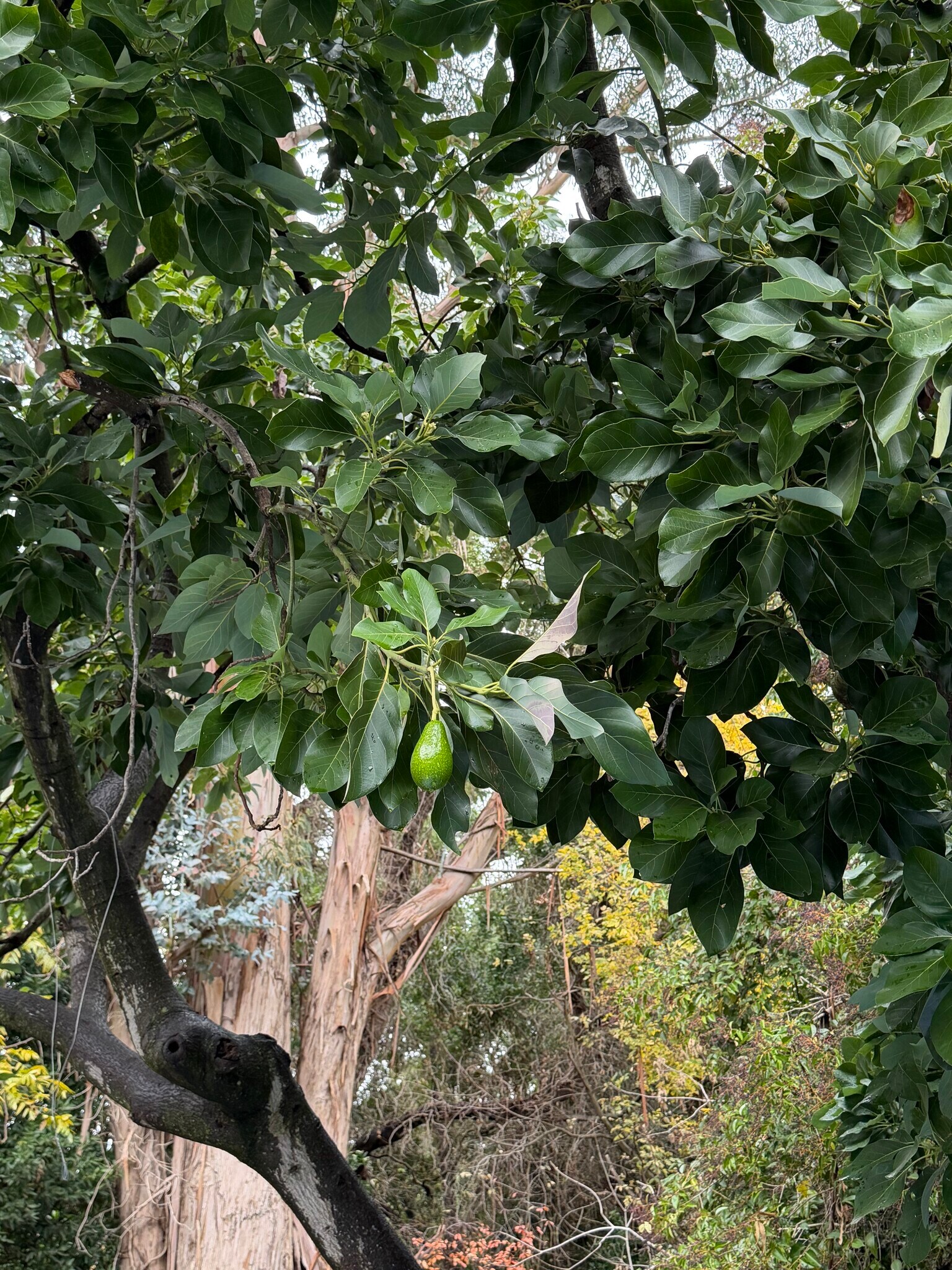 Building Photo - 5746 Robinhood Dr