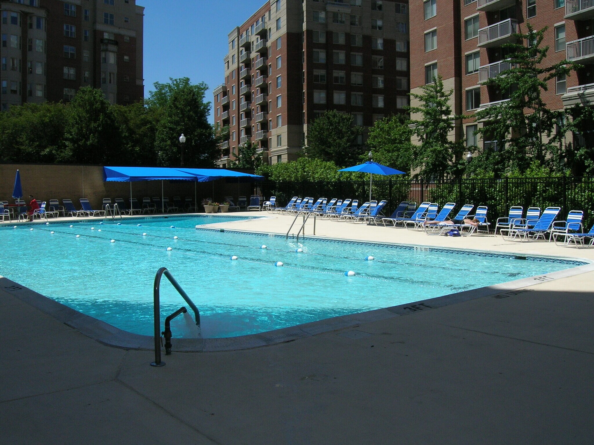 Gorgeous Pool-Lane for Serious Swimmers - 3800 Fairfax Dr