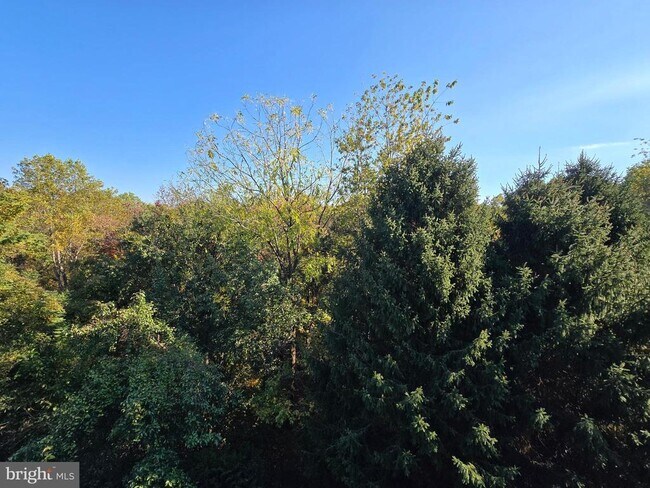 Building Photo - 18715 Sparkling Water Dr