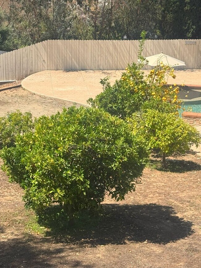 Building Photo - Spacious 4-Bedroom Home on Expansive Lot i...