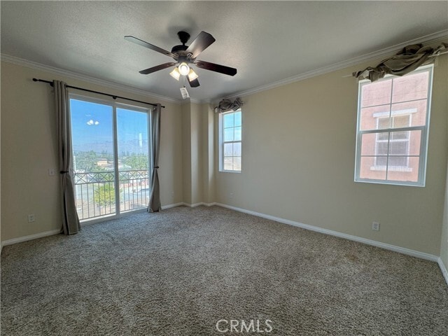 Building Photo - 13639 Foster Ave