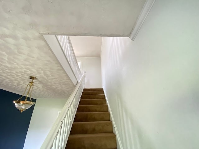 Building Photo - 102 North View Dr