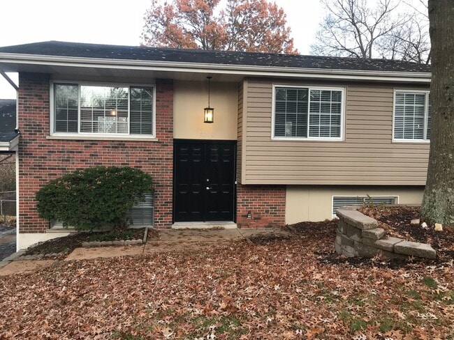 Building Photo - Pet Friendly, Renovated Home in Fox School District