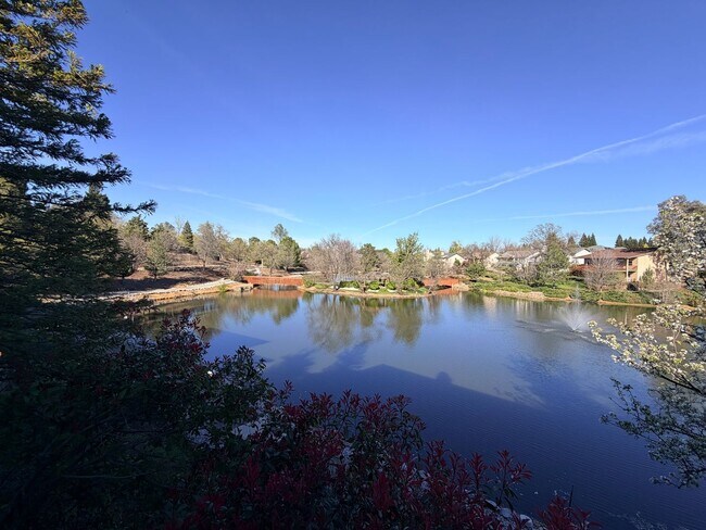 Building Photo - Beautiful Lakefront Home in the Vineyard! 55+ community