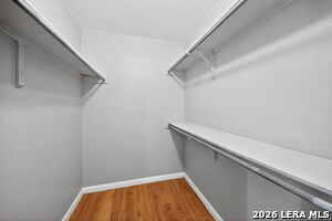 Building Photo - 11843 Braesview