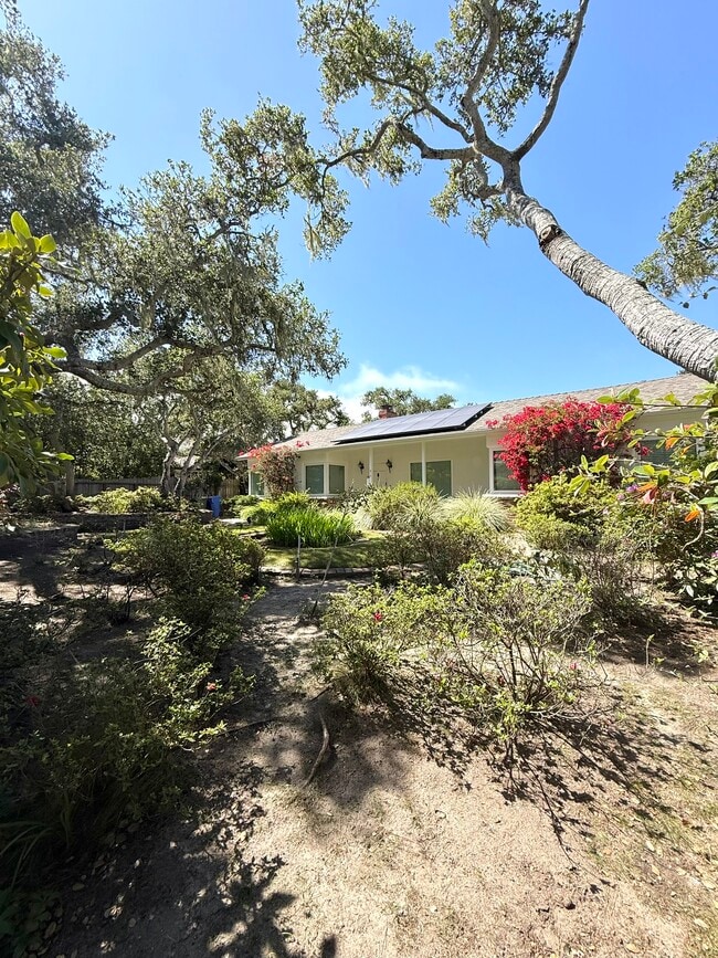 Building Photo - 810 Martin St