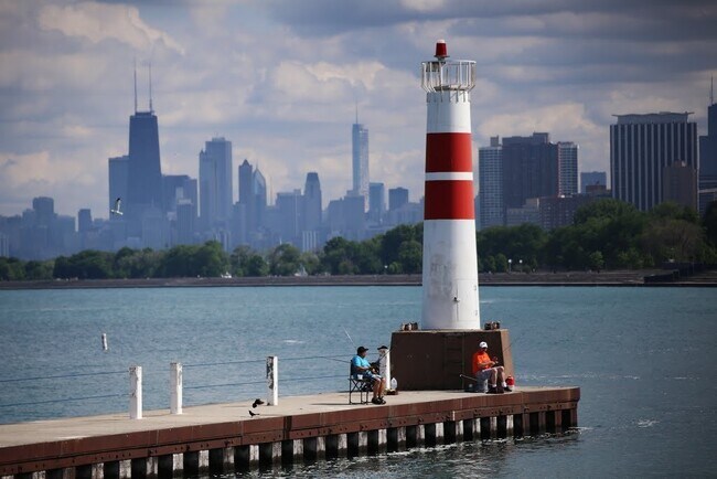 Building Photo - Recently Renovated East Rogers Park One Be...