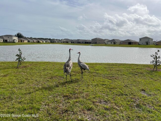 Building Photo - 976 Trinity St