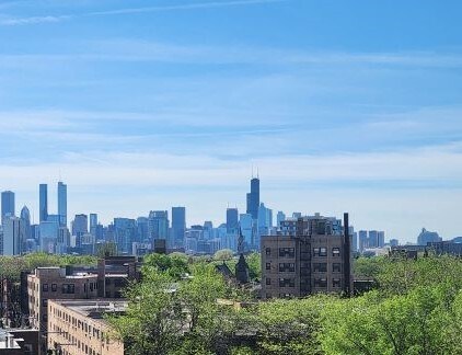 South, skyline view - 607 W Wrightwood Ave