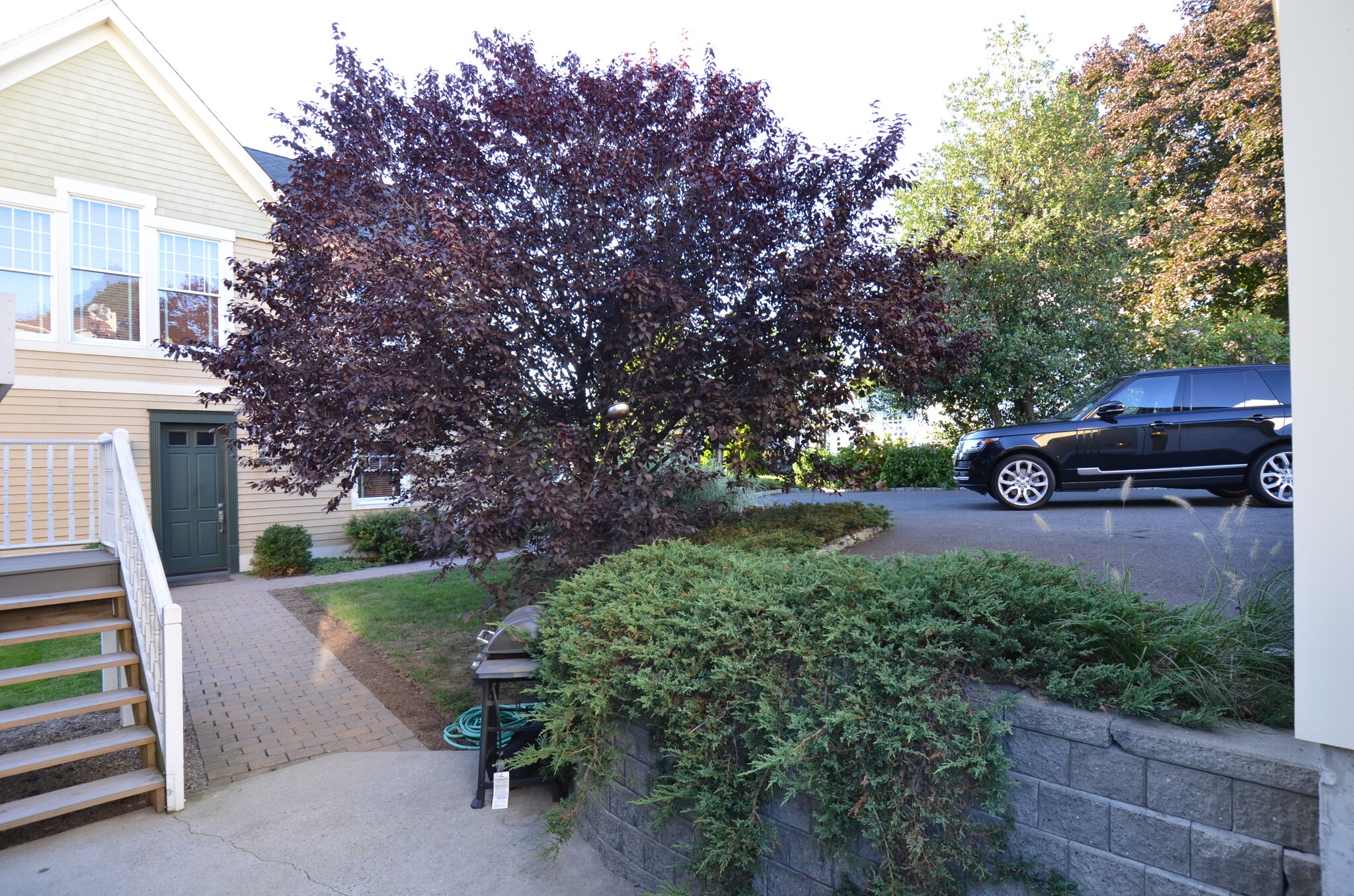 Rear Entry walk - 18 Berrian Pl