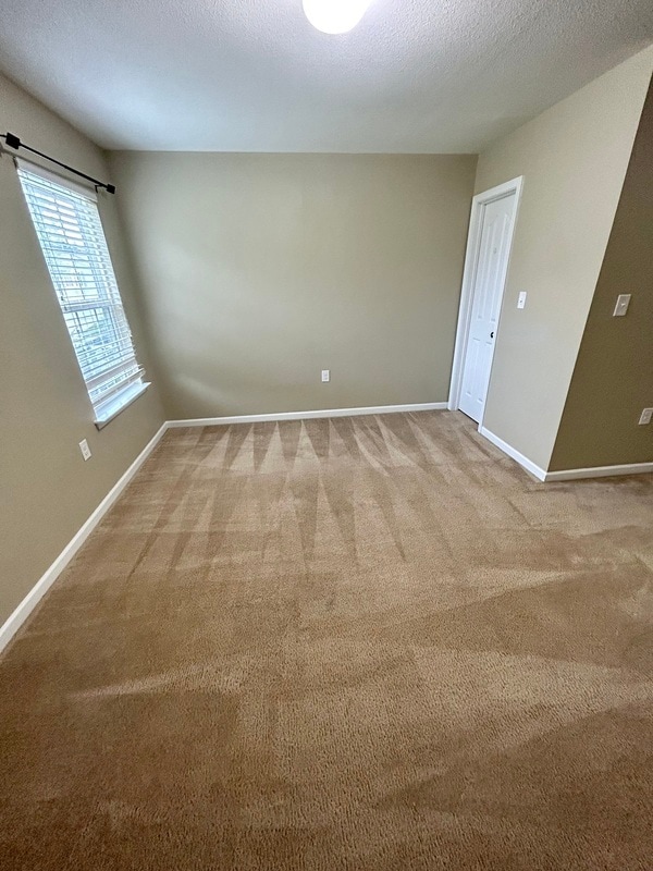 Building Photo - 3987 Tallowtree Ln