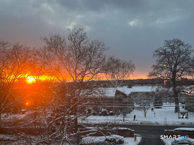 Building Photo - 91 Strawberry Hill Ave