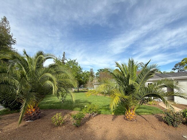 Building Photo - 2 Callado Way