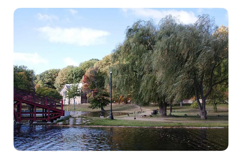 Building Photo - 15 Hawley St