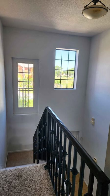 Building Photo - 1265 Marquise Ct