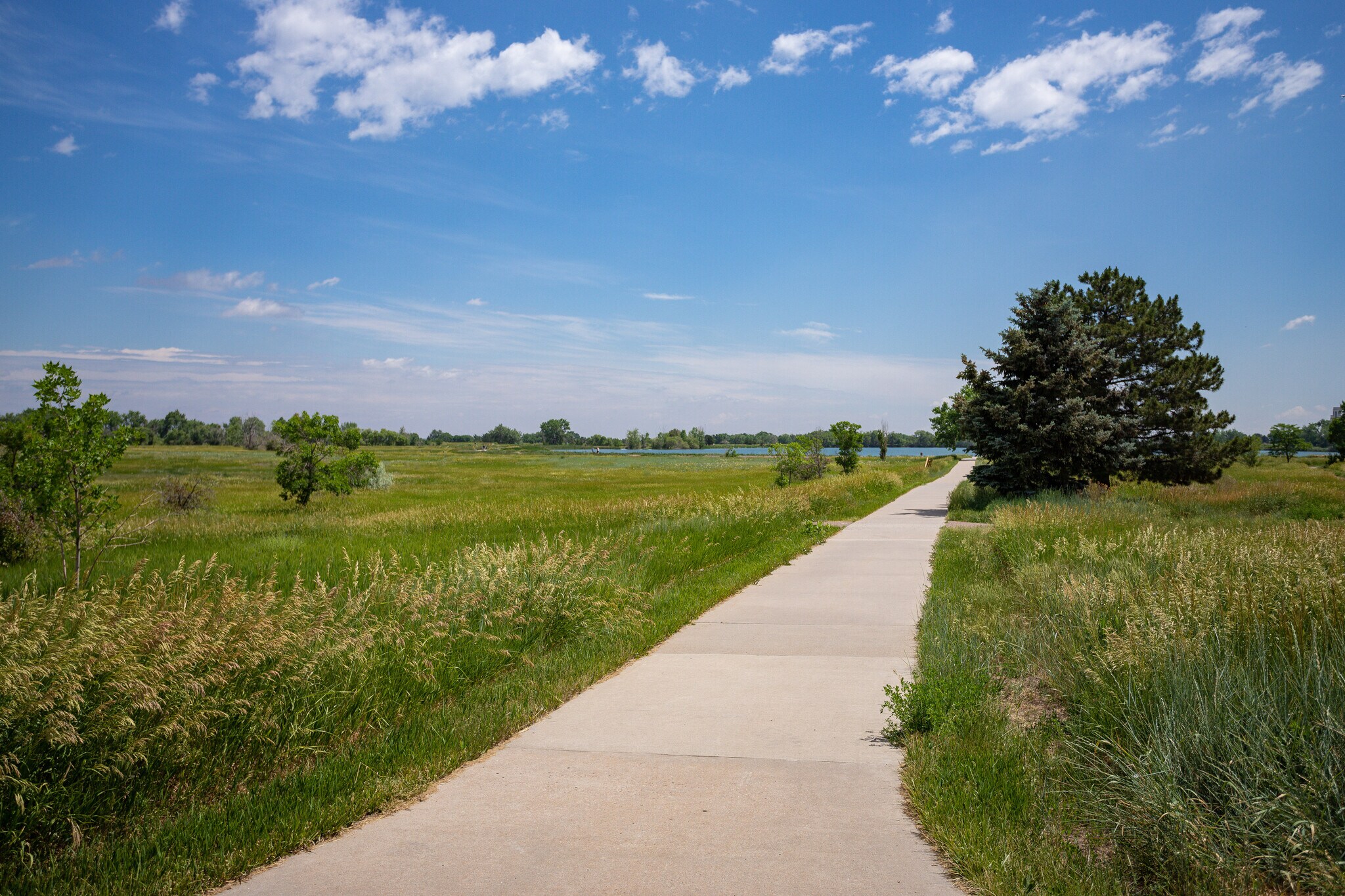 Building Photo - 10120 W 23rd Ave