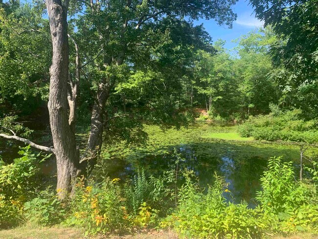 Building Photo - 508 Piscassic St