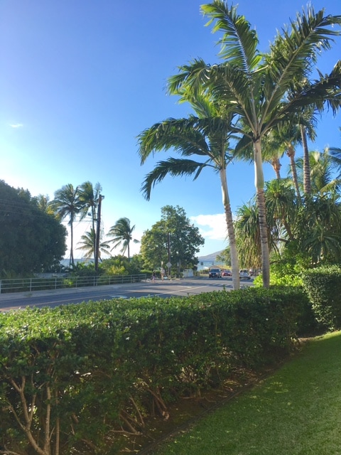Building Photo - 44 Kanani Rd