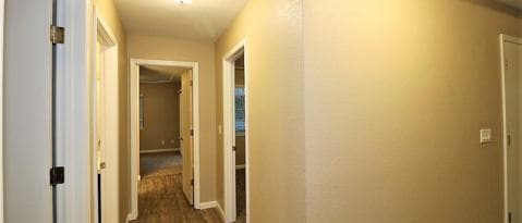 Building Photo - 850 Spaniel Dr