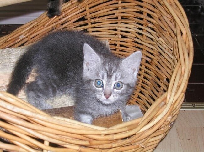 Building Photo - 30 Hanover St