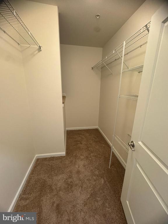 Building Photo - 6436 Walcott Ln