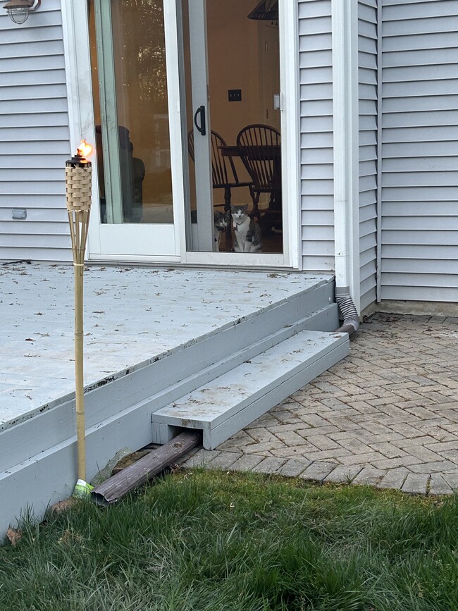 Building Photo - 6610 Cottontail Ct