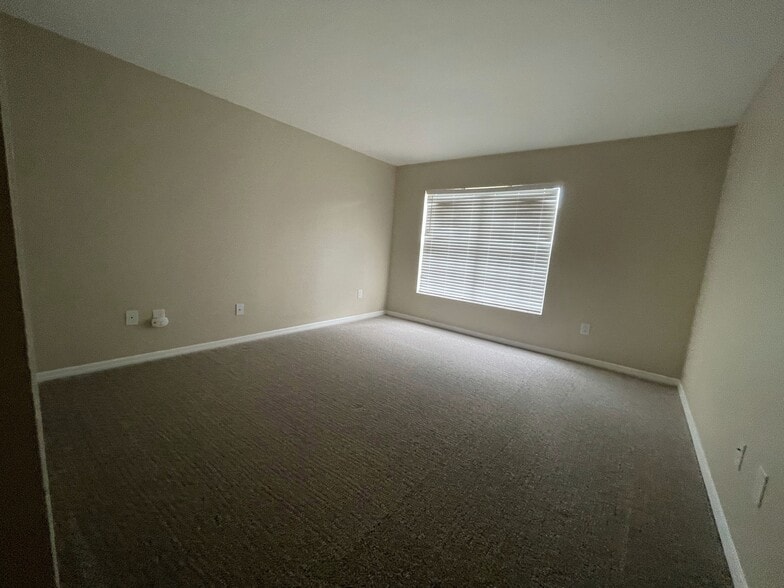 Primary Bedroom - 10356 Carrollwood Ln