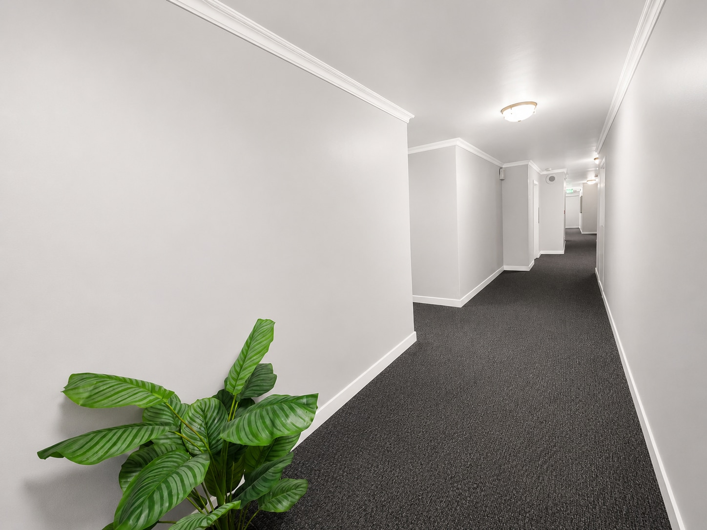 Hall - 1299 Cordova St