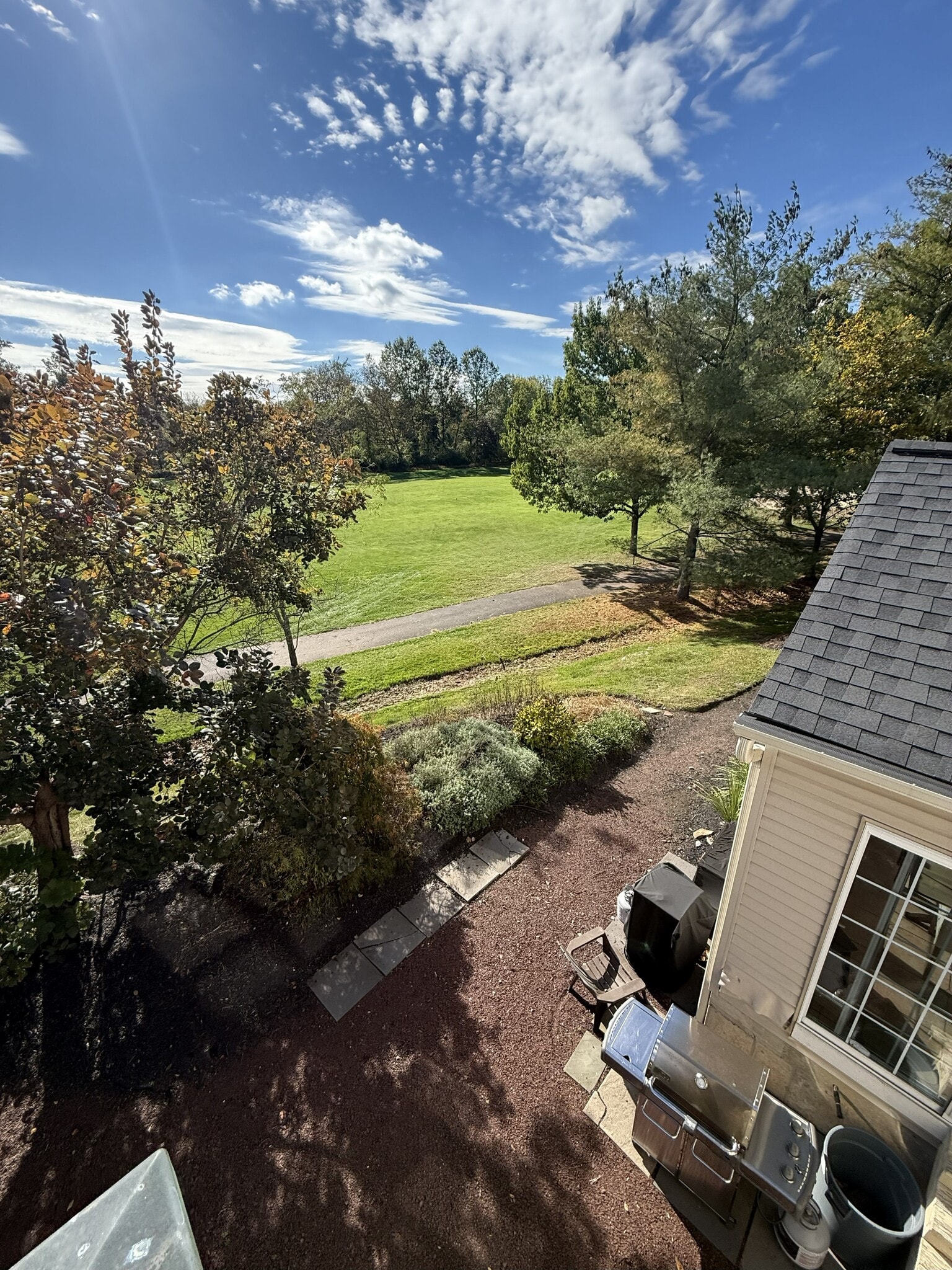 Back of the house - 1006 Glendevon Dr