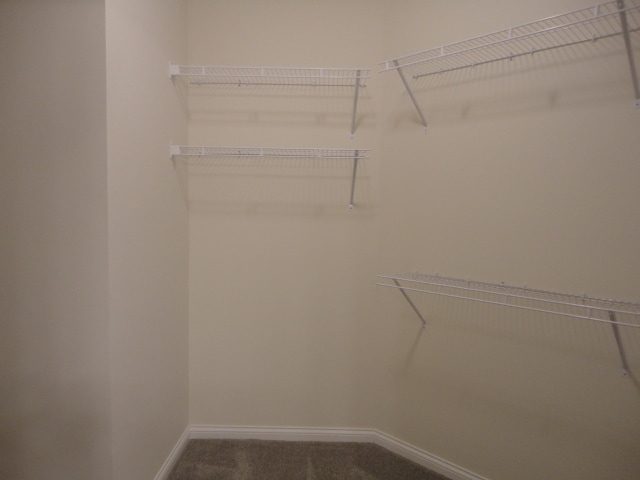 Building Photo - 6607 Blue Ridge Ct