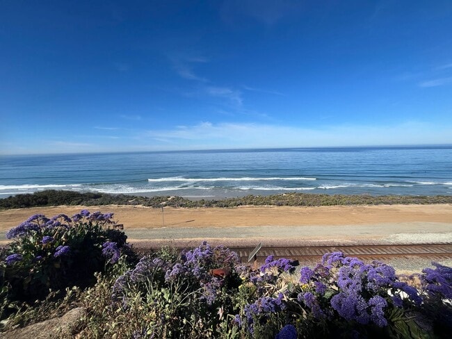 Building Photo - 519 Stratford Ct