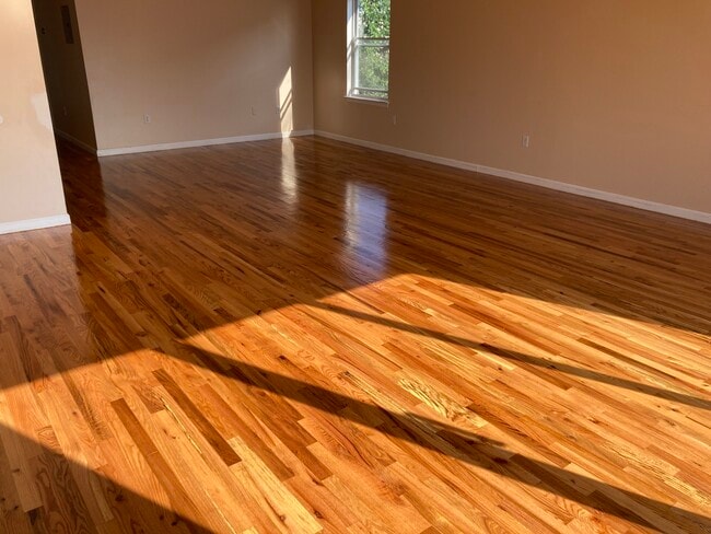 Living Room - 181 Ridge St