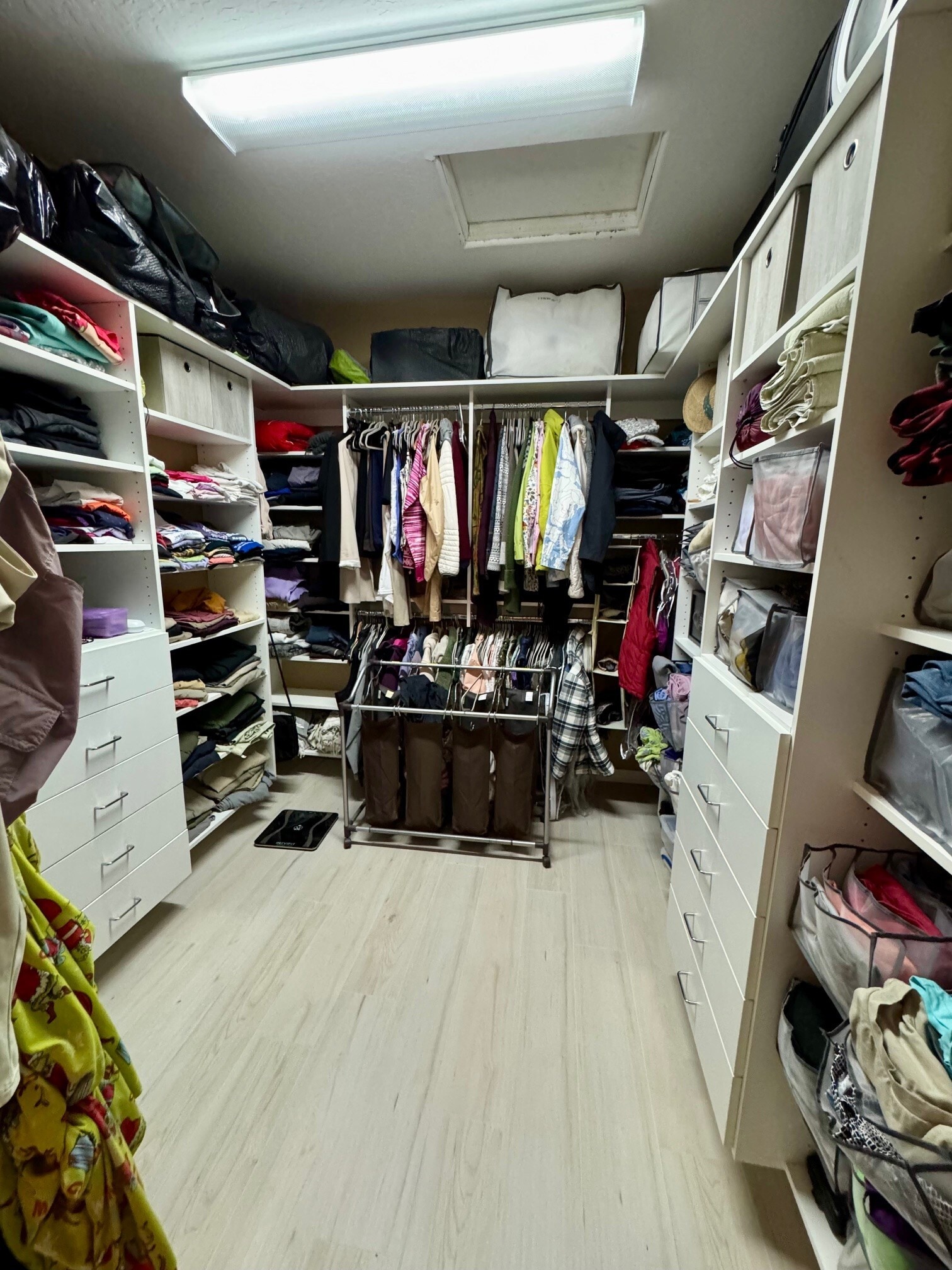 BR1 Closet w Organizer - 1582 Smoke Signal Ct