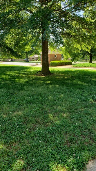 Front yard - 24985 Capshaw Rd