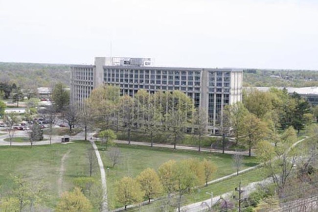 Building Photo - Tulip Tree Apartments