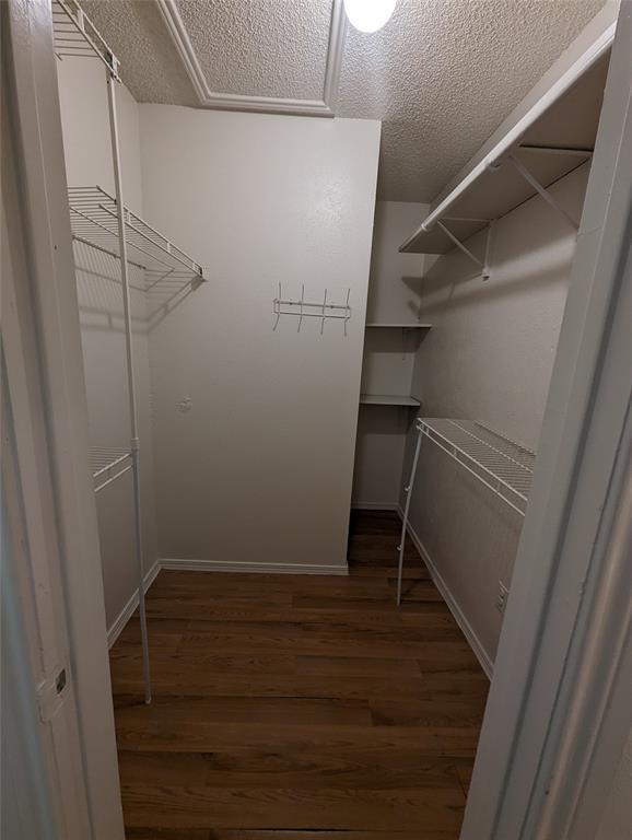 Building Photo - 4612 Borage Dr