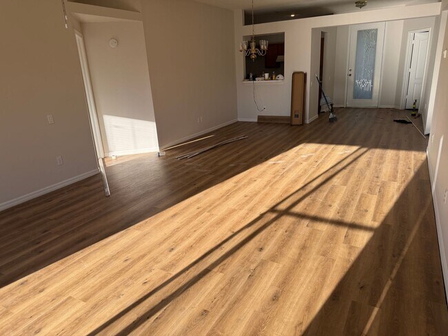 Building Photo - 4 Bedroom 2 Bath home in Hunter's Green/New Tampa