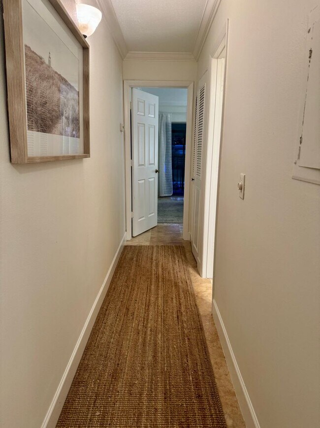 Building Photo - South Tampa Condo