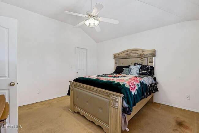 Building Photo - 12193 Sun Arbor Pl