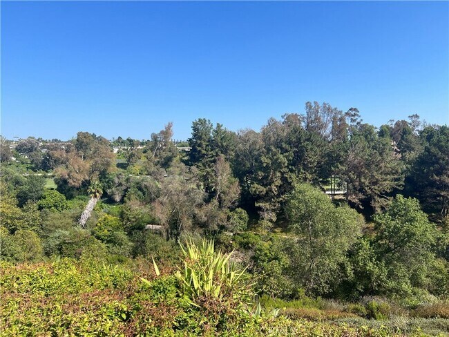 Building Photo - 24822 Via San Fernando