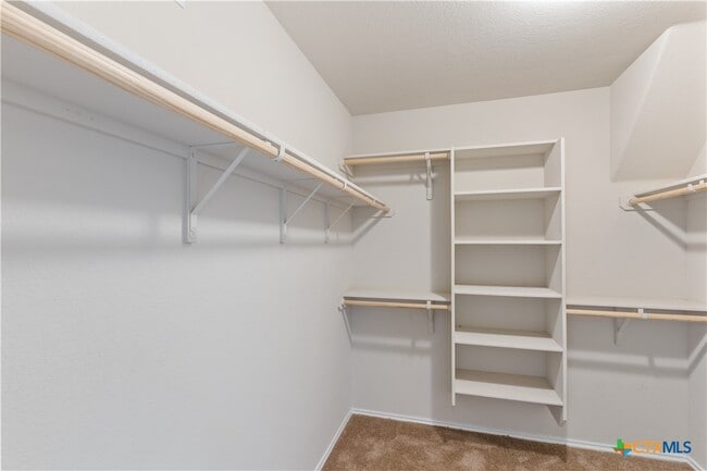 Building Photo - 6313 Dorothy Muree Dr