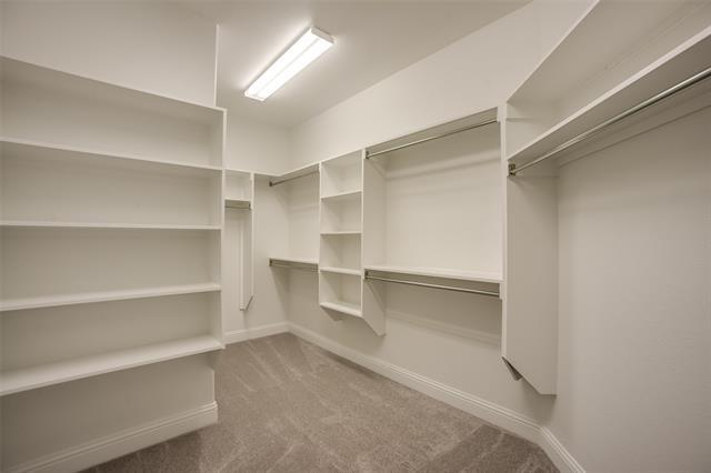 Building Photo - 3317 Damsel Sauvage Ln