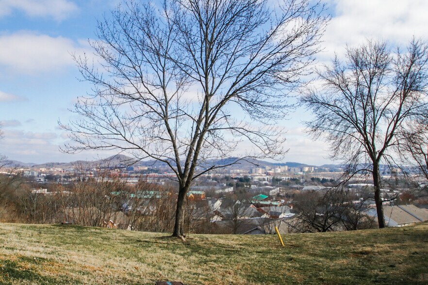 The view from the bedroom window - 1614 Brentwood Pointe