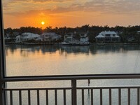 Building Photo - 2600 Gulf Shore Blvd N