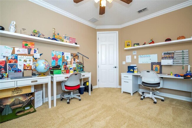 Building Photo - 3119 Falconhill Dr