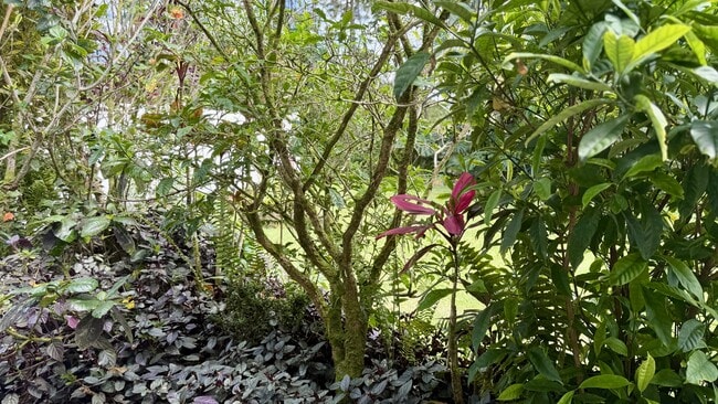 Building Photo - 16-2063-2063 Pearl Dr