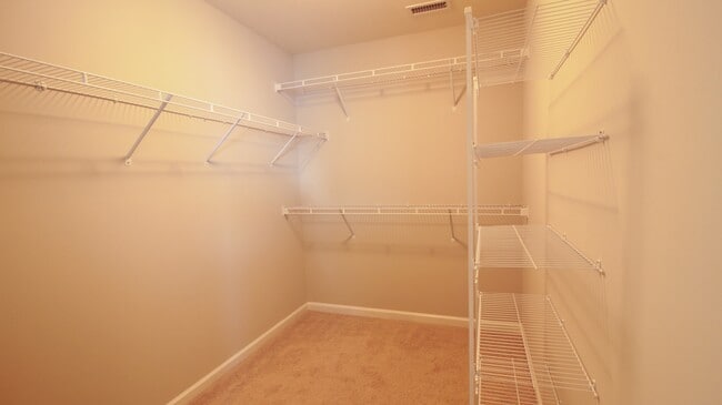 Building Photo - 3/2.5 House with Fenced-In yard and GORGEOUS interior!