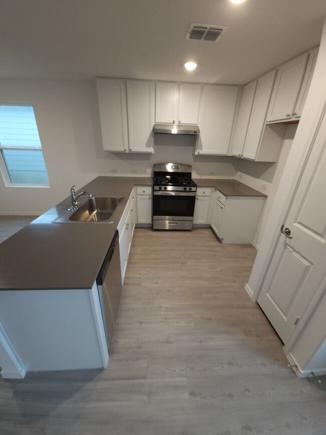 Building Photo - 2 Week Free rent Special! South Side of SA /VIDA community Brand New 4-bed, 2-bth home