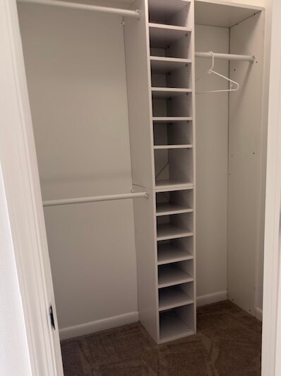 Bedroom Closet - 313 Valley Stream Ln