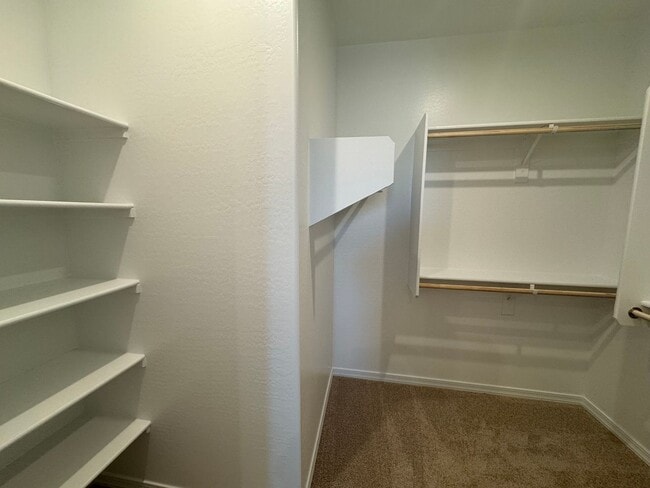 Building Photo - BRAND NEW 4 BEDROOM IN NORTHPOINTE